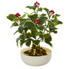 Nearly Natural 8954 14" Artificial Green Real Touch Variegated Holly Leaf Plant in Gold & Cream Elegant Vase 