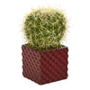 Nearly Natural P1060 12" Artificial Green Cactus Succulent Plant in Red Ceramic Vase