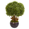 Nearly Natural 9732 38" Artificial Green Boxwood Topiary Tree in Decorative Bowl, (Indoor/Outdoor)