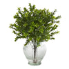 Nearly Natural 14``Boxwood Artificial Plant in Glass Planter (Indoor/Outdoor)