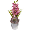 Nearly Natural Cymbidium Orchid and Succulent Artificial Arrangement