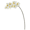 Nearly Natural 34`` Phalaenopsis Orchid Artificial Flower (Set of 6)