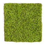 Nearly Natural P1507 20” X 20” Duckweed Artificial Wall Mat