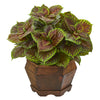Nearly Natural P1008 17" Artificial Green & Brown Real Touch Coleus Plant in Decorative Planter 