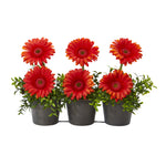 Nearly Natural 14`` Gerber Daisy Artificial Arrangement in Trio Metal Vase