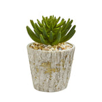 Nearly Natural 8467 11" Artificial Green Succulent Plant in Weathered Oak Planter