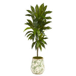 Nearly Natural 4`Dracaena Artificial Plant in Flower Print Planter (Real Touch)