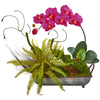 Nearly Natural Phelaenopsis Orchid and Fern Artificial Arrangement in Metal Tray