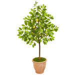 Nearly Natural 9559 55" Artificial Green Lemon Tree in Terra Cotta Planter