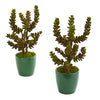 Nearly Natural 8215-S2 11" Artificial Green Succulent Plant in Green Pot, Set of 2
