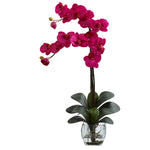 Nearly Natural Double Phal Orchid w/Vase Arrangement