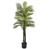 Nearly Natural 5479 5.5' Artificial Green Double Robellini Palm Tree, UV Resistant (Indoor/Outdoor)