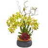 Nearly Natural Phalaenopsis Orchid and Succulent Artificial Arrangement