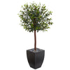 Nearly Natural 5869 4.5' Artificial Green Olive Topiary Tree in Black Washed Planter