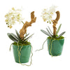 Nearly Natural 1644-S2 11" Artificial White Mini Phalaenopsis Orchid Arrangement in Green Planter, Set of 2