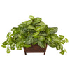 Nearly Natural 6922 18.5" Artificial Green Nephthytis in Wood Planter