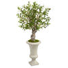 Nearly Natural 5784 40" Artificial Green Olive Tree in White Urn