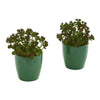Nearly Natural 8207-S2 Artificial Green Sedum Succulent Plant in Green Planter, Set of 2