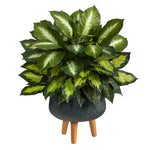 Nearly Natural P1615 2’ Golden Dieffenbachia Artificial Plant in Black Planter with Stand