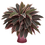 Nearly Natural 8109 20" Artificial Green Caladium Plant in Rose Vase