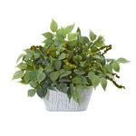 Nearly Natural 8898 13" Artificial Green Mixed Ficus & Fittonia Plant in Decorative Planter