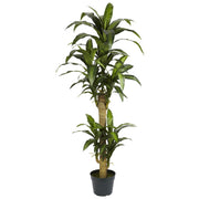 Nearly Natural 5` Yucca Silk Plant