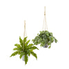 Nearly Natural 8890-S2 26" Artificial Green Watermelon Peperomia & Fern Plant in Hanging Bucket, Set of 2