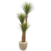 Nearly Natural 9547 63" Artificial Green Yucca Tree in Sandstone Planter