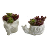 Nearly Natural 4331-S2 6" Artificial Green & Purple Succulent Plant in Elephant & Snail Planter, Set of 2