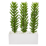 Nearly Natural 8474 16" Artificial Green Succulent Spikes Plant in White Ceramic Vase