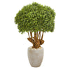 Nearly Natural 9730 41" Artificial Green Boxwood Topiary Tree in Sandstone Planter, (Indoor/Outdoor)