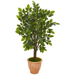 Nearly Natural 9530 53" Artificial Green River Birch Tree in Terra Cotta Planter