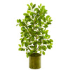 Nearly Natural 9919 37" Artificial Green Mini Ficus Tree in Green Planter