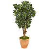 Nearly Natural 9507 46" Artificial Green Panda Ficus Tree in Terra-Cotta Planter