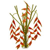 Nearly Natural 1956 21" Artificial Red Hanging Heliconia Arrangement in Cylinder Vase