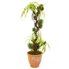 Nearly Natural 9988 45" Artificial Green Tillandsia Plant in Terra-Cotta Planter