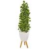Nearly Natural 9957 51" Artificial Green Real Touch Variegated Holly Leaf Tree in White Planter with Stand