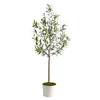 Nearly Natural T2555 70`` Olive Artificial Tree in White Tin Planter