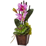 Nearly Natural Cattleya Orchid and Succulent Arrangement (Set of 2)