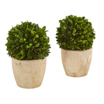 Nearly Natural 4366-S2 6" Artificial Green Boxwood Ball Preserved Plant in Planter, Set of 2