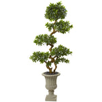 Nearly Natural 5957 6' Artificial Green Pittosporum Tree in Urn, UV Resistant (Indoor/Outdoor)