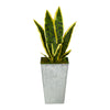 Nearly Natural P1589 18” Sansevieria Artificial Plant in Embossed White Planters