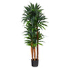 Nearly Natural T1553 5.5’ Dracaena Artificial Tree with Natural Cane Trunk