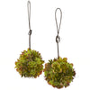 Nearly Natural 4959-S2 ``7” Mixed Succulent Hanging Spheres (Set of 2) ``