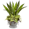 Nearly Natural 8735 19" Artificial Green Sansevieria & Succulent Plant in Metal Bowl