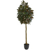 Nearly Natural 5558 75" Artificial Green Capensia Ficus Tree