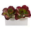 Nearly Natural P1295 11" Artificial Maroon Succulent Plant in White Planter