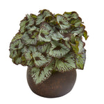 Nearly Natural P1182 10" Artificial Green Rex Begonia Plant in Stone Planter