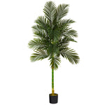 Nearly Natural T1840 7` Single Stalk Golden Cane Artificial Palm Trees