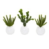 Nearly Natural 10`` Cactus Succulent Artificial Plant in White Vase (Set of 3)